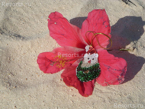 Sandals Montego Bay 71